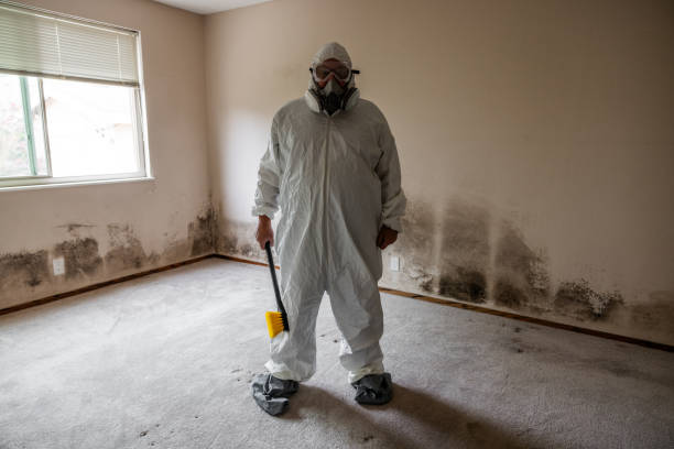 Best Commercial Mold Remediation in Saks, AL